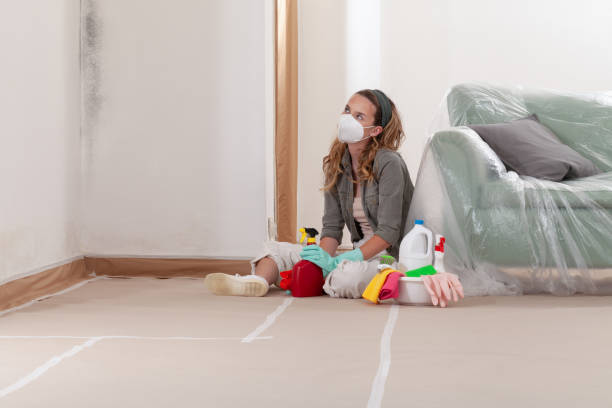 Reliable Commercial Mold Remediation contractor in Hillsdale, NJ by WQB Mold Removal